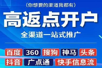 竞价广告的投放技巧与网络推广的实践