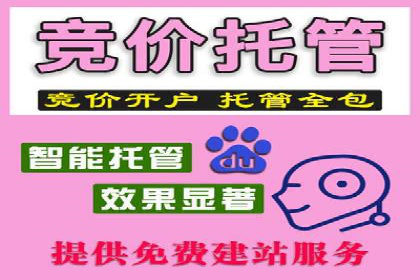 百度竞价排名案例：打造爆款广告的秘诀