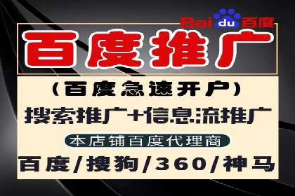 某企业通过百度广告实现品牌提升的历程